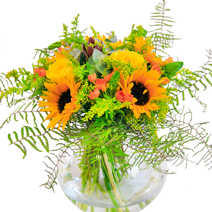 The initial impression of this lively arrangement from Harold Park Florist is one of unfiltered sunlight and overflowing joy, echoing neighborhood gatherings in the heart of Harold Park. The bouquet's central sunflowers beam with rich, golden petals and chocolate-brown centers, evoking a sense of familiarity and warmth. Around them, butter-yellow garden roses open layer by layer, their perfectly spiraled centers offering an inviting texture. The inclusion of glossy, scarlet hypericum berries adds vibrant pops of colour, contrasting beautifully against waves of fresh, green foliage and elegant fern fronds that drape like the leafy canopies found along Harold Park's tree-lined avenues. Here and there, hints of bluish-grey eucalyptus and the soft glow of solidago filler catch the eye, inviting a closer look and a deeper inhale of their subtle, earthy fragrance. All elements are thoughtfully arranged in a spotless, rounded glass vase-a nod to both modern style and the transparency of nature's design-revealing every verdant stem within a pool of clean water. This composition, perfect for birthdays, local celebrations, or simply adding a touch of parkland-inspired cheer to any home, showcases the expertise and heartfelt care that Harold Park Florist brings to the local community.