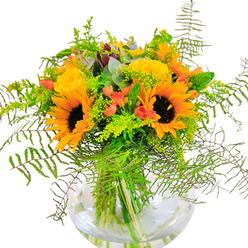 The initial impression of this lively arrangement from Harold Park Florist is one of unfiltered sunlight and overflowing joy, echoing neighborhood gatherings in the heart of Harold Park. The bouquet's central sunflowers beam with rich, golden petals and chocolate-brown centers, evoking a sense of familiarity and warmth. Around them, butter-yellow garden roses open layer by layer, their perfectly spiraled centers offering an inviting texture. The inclusion of glossy, scarlet hypericum berries adds vibrant pops of colour, contrasting beautifully against waves of fresh, green foliage and elegant fern fronds that drape like the leafy canopies found along Harold Park's tree-lined avenues. Here and there, hints of bluish-grey eucalyptus and the soft glow of solidago filler catch the eye, inviting a closer look and a deeper inhale of their subtle, earthy fragrance. All elements are thoughtfully arranged in a spotless, rounded glass vase-a nod to both modern style and the transparency of nature's design-revealing every verdant stem within a pool of clean water. This composition, perfect for birthdays, local celebrations, or simply adding a touch of parkland-inspired cheer to any home, showcases the expertise and heartfelt care that Harold Park Florist brings to the local community.